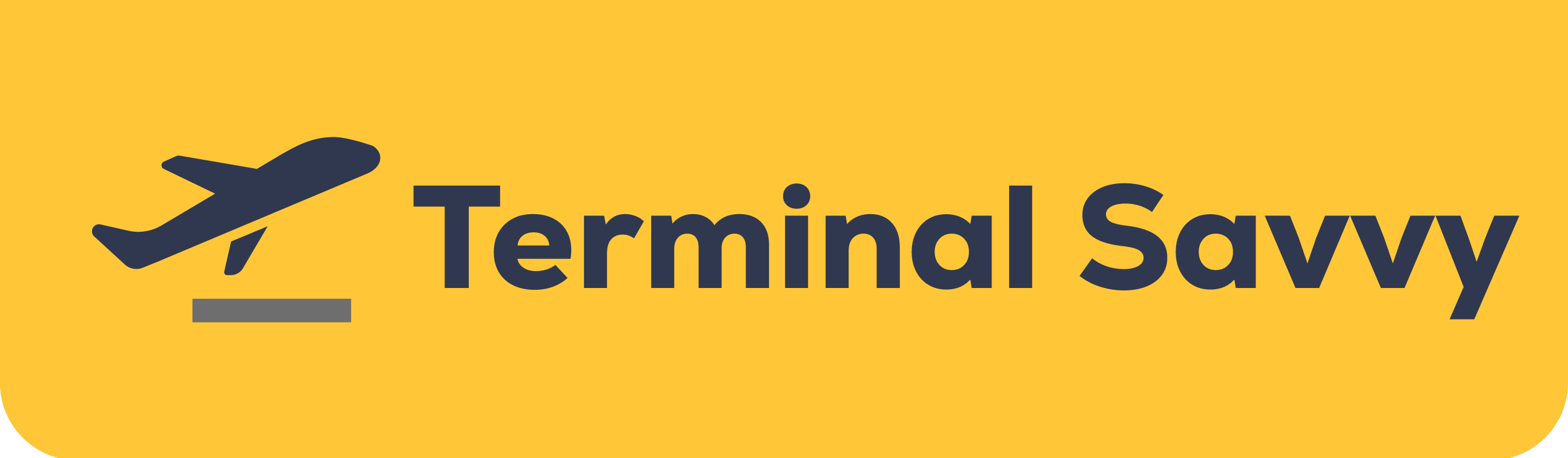 terminal savvy logo